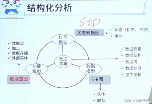 软件工程及开发模型